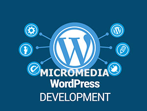 Technical assistance Wordpress - Woocommerce