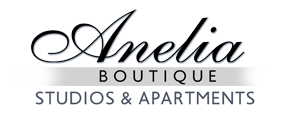 anelia-logo.png